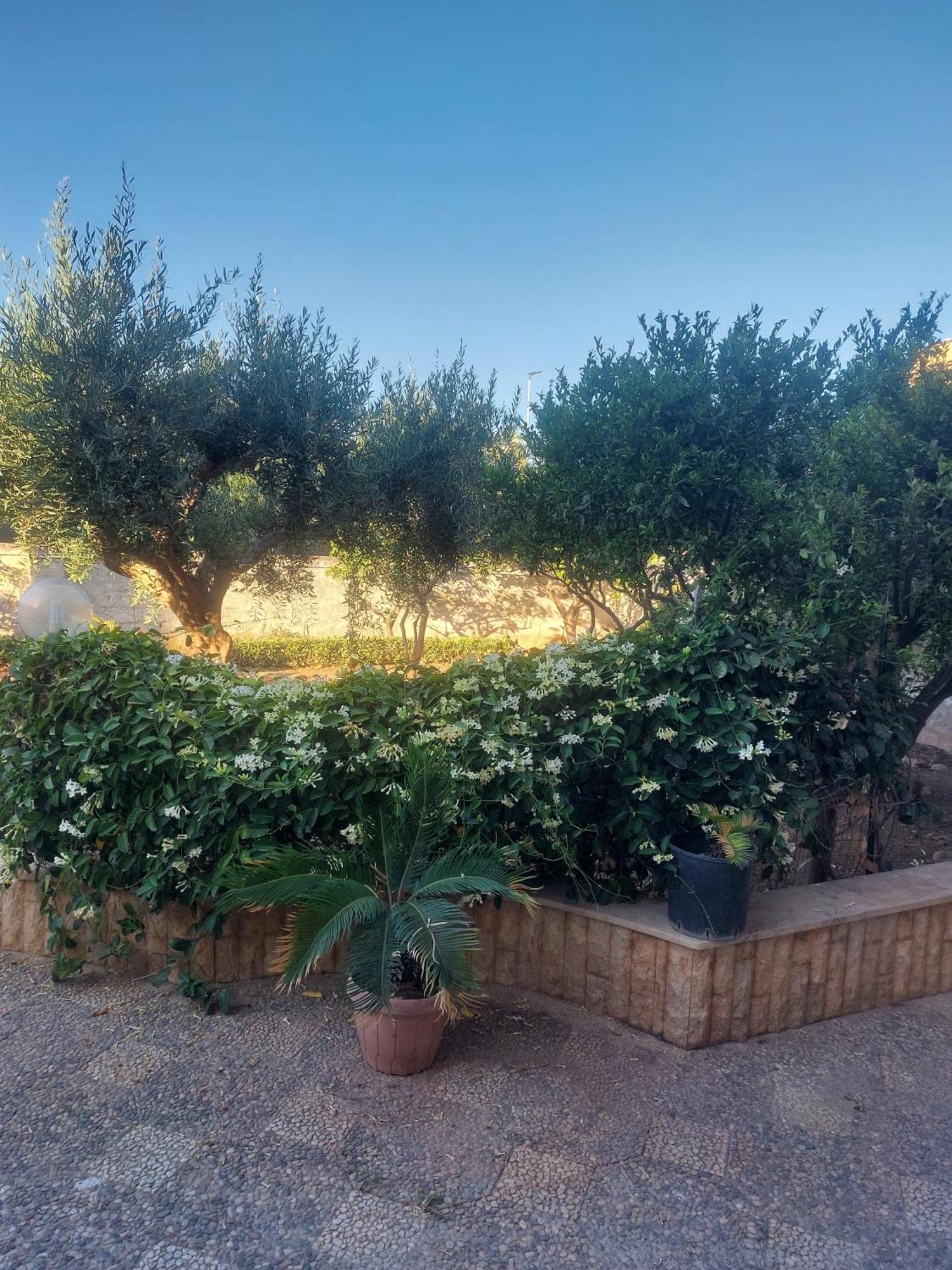 Alcantara Suites Trapani Eksteriør billede